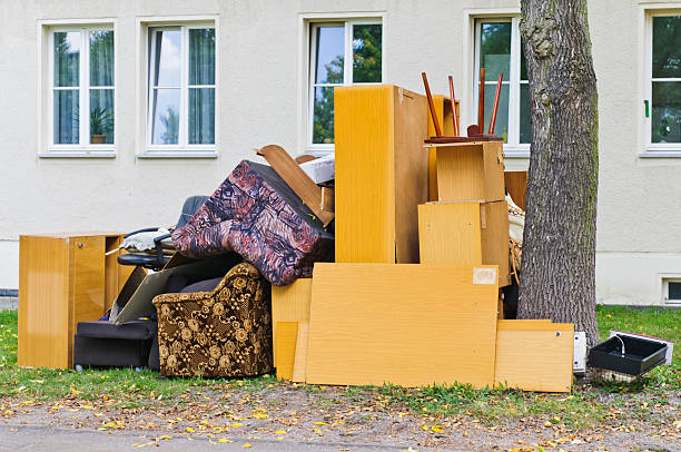 Yard Cleanup Services in East Lexington, VA